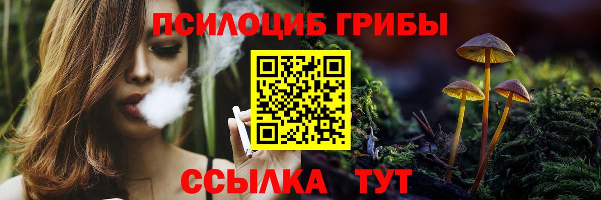 Галлюциногенные грибы Psilocybe Верхняя Салда